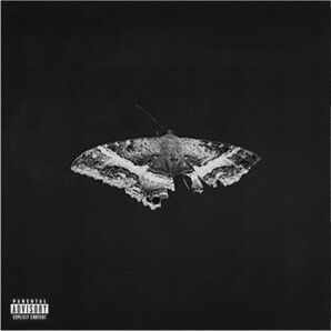 Black LP cover with greyscale butterfly